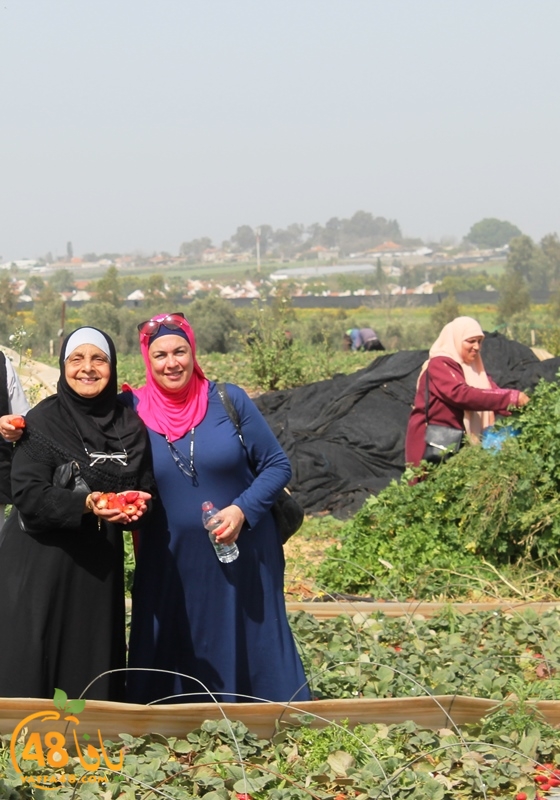 a7bab aqsa farawla (2).JPG